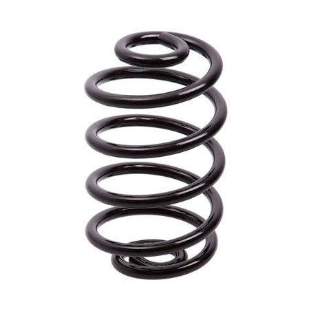JUEGO DE RESORTES DE SUSPENSION (ESPIRALES) AG 041136TP
