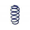 JUEGO DE RESORTES DE SUSPENSION (ESPIRALES) AG 041138K
