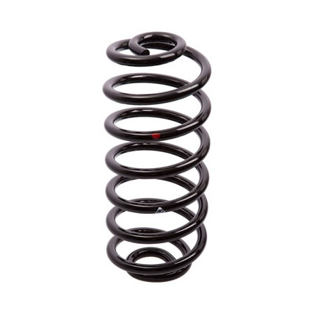JUEGO DE RESORTES DE SUSPENSION (ESPIRALES) AG 041139TP