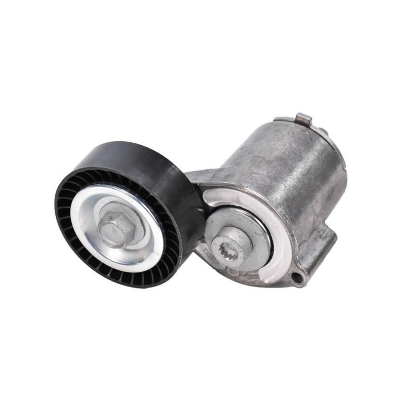 TENSOR DE CORREA DE ACCESORIOS GATES T38315