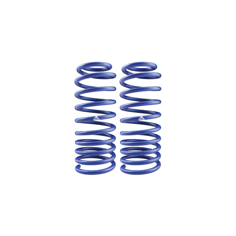 JUEGO DE RESORTES DE SUSPENSION (ESPIRALES) AG 251178K