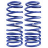 JUEGO DE RESORTES DE SUSPENSION (ESPIRALES) AG 251178K