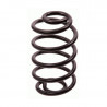 JUEGO DE RESORTES DE SUSPENSION (ESPIRALES) AG 251178K