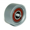 POLEA FIJA DE CORREA DE ACCESORIOS GATES T36128