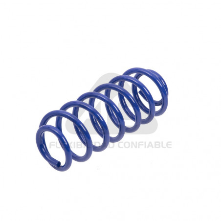 JUEGO DE RESORTES DE SUSPENSION (ESPIRALES) AG 251071K