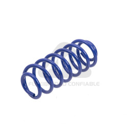 JUEGO DE RESORTES DE SUSPENSION (ESPIRALES) AG 251071K