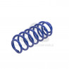 JUEGO DE RESORTES DE SUSPENSION (ESPIRALES) AG 251071K