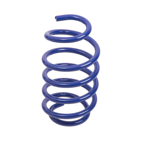 JUEGO DE RESORTES DE SUSPENSION (ESPIRALES) AG 251074K