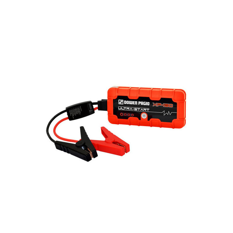 CARGADOR DE BATERIA DOWEN PAGIO 9991032