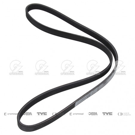 CORREA POLIV DE ACCESORIOS CONTINENTAL 5175/20