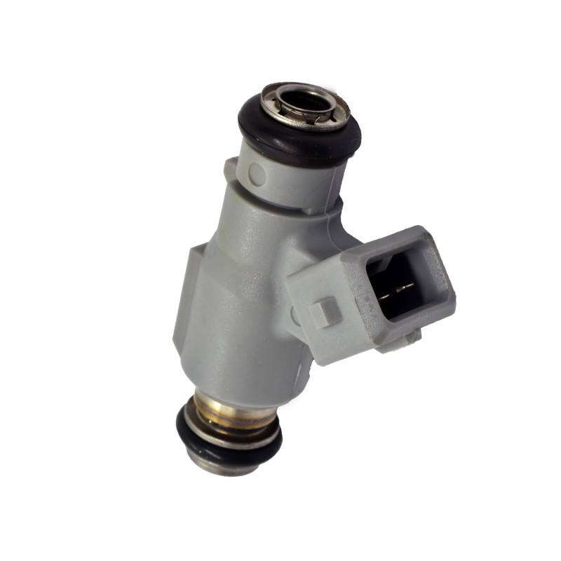 INYECTOR DE COMBUSTIBLE (NAFTA) HELLUX HEFJ10733
