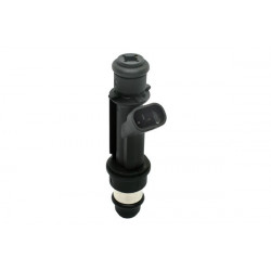 INYECTOR DE COMBUSTIBLE (NAFTA) HELLUX HEICD00111