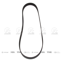 CORREA POLIV DE ACCESORIOS...