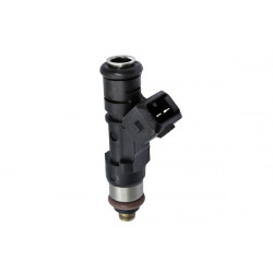 INYECTOR DE COMBUSTIBLE (NAFTA) HELLUX HE280158207