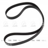 CORREA POLIV DE ACCESORIOS GATES 5226/1