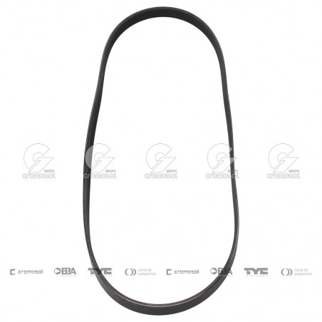 CORREA POLIV DE ACCESORIOS CONTINENTAL 5215/20