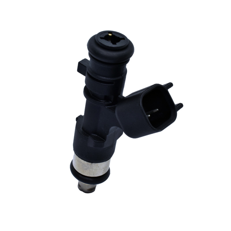 INYECTOR DE COMBUSTIBLE (NAFTA) HELLUX HE280158284