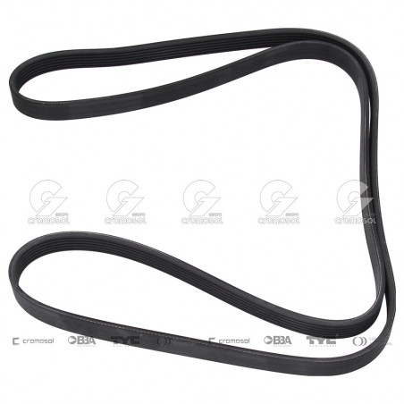 CORREA POLIV DE ACCESORIOS CONTINENTAL 5224/20