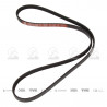 CORREA POLIV DE ACCESORIOS GATES 5230/1