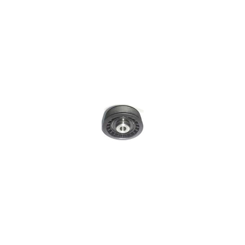 POLEA FIJA DE CORREA DE ACCESORIOS BTP 11171