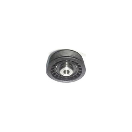 POLEA FIJA DE CORREA DE ACCESORIOS BTP 11171