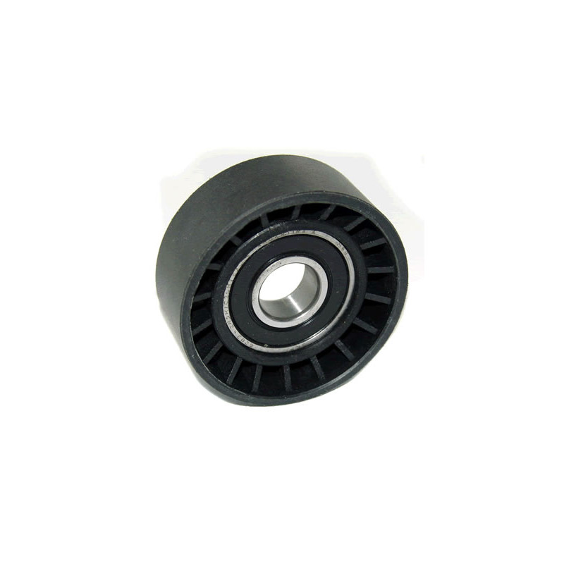 POLEA FIJA DE CORREA DE ACCESORIOS BTP 11174