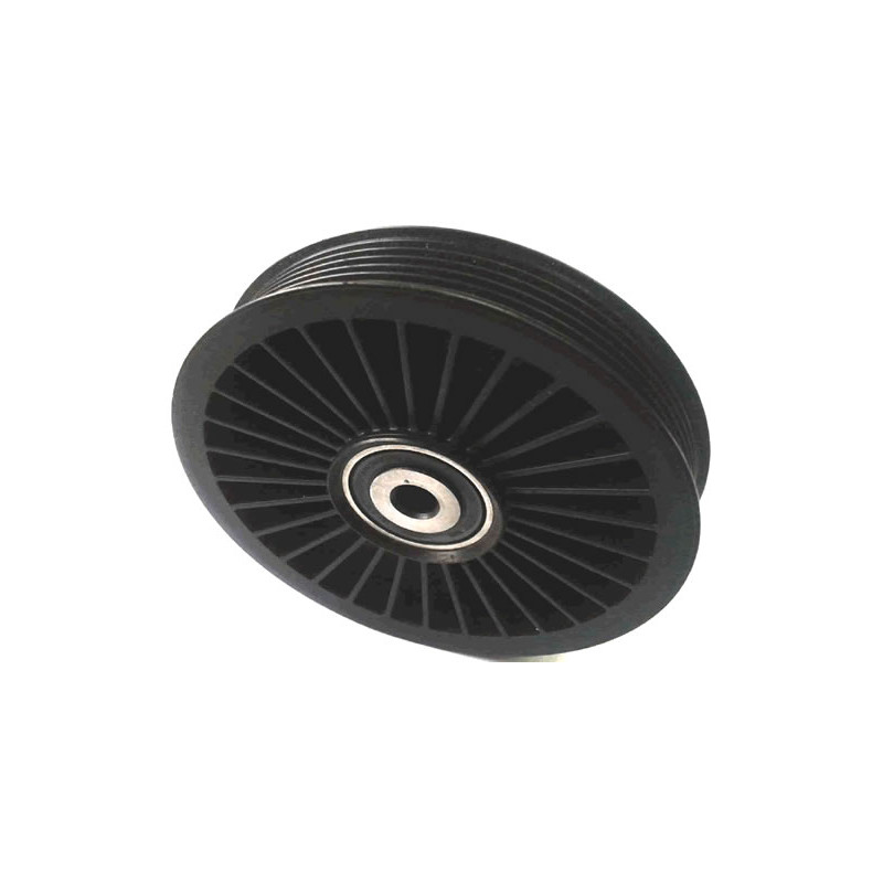 POLEA FIJA DE CORREA DE ACCESORIOS BTP 11177