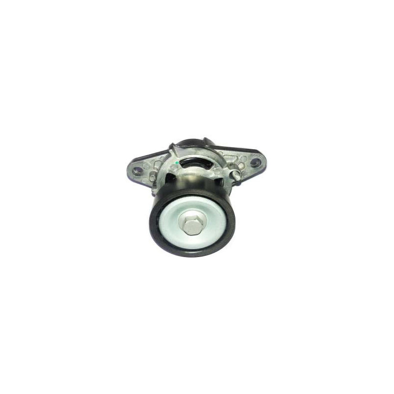 TENSOR DE CORREA DE ACCESORIOS BTP 11181