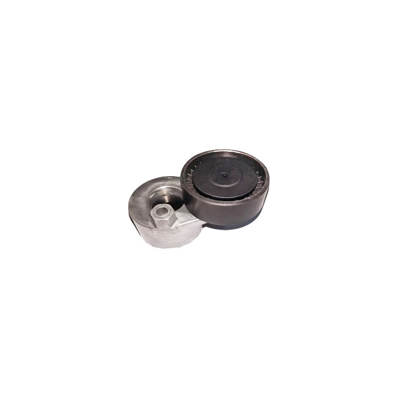 TENSOR DE CORREA DE ACCESORIOS BTP 11182