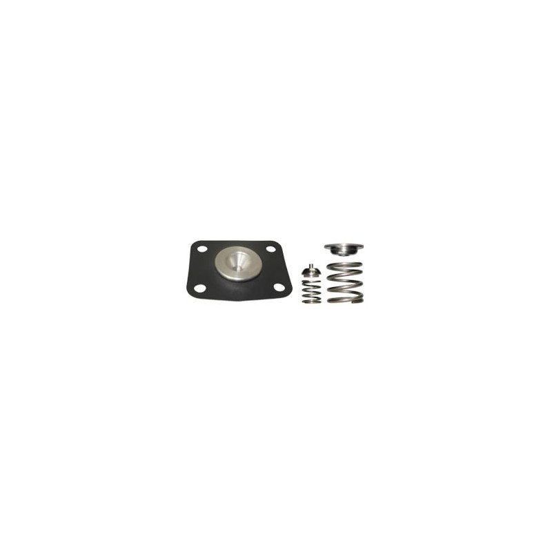 DIAFRAGMA DE REGULADOR DE PRESION DE COMBUSTIBLE DS M1405