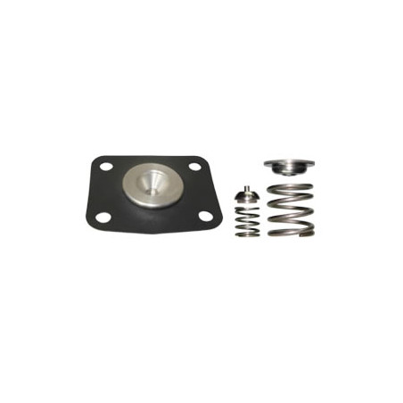 DIAFRAGMA DE REGULADOR DE PRESION DE COMBUSTIBLE DS M1405