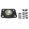 DIAFRAGMA DE REGULADOR DE PRESION DE COMBUSTIBLE DS M1405