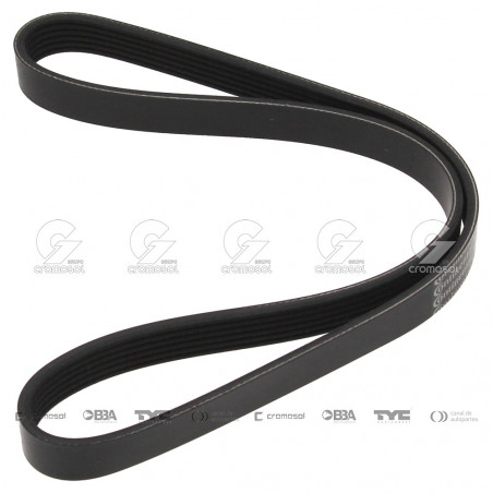 CORREA POLIV DE ACCESORIOS CONTINENTAL 5239/20
