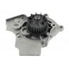BOMBA DE AGUA SKF VKPC 81242