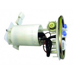 MODULO DE COMBUSTIBLE COMPLETO NAFTA (AFORADOR) HELLUX HE258