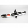 AMORTIGUADOR DE SUSPENSION TRW JGM4692S