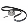 KIT DE CORREA DE DISTRIBUCION SKF VKMA 01000 A