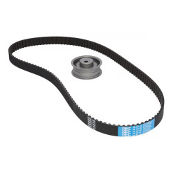KIT DE CORREA DE DISTRIBUCION SKF VKMA 01010 A