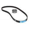 KIT DE CORREA DE DISTRIBUCION SKF VKMA 01010 A