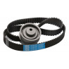 KIT DE CORREA DE DISTRIBUCION SKF VKMA 01011 A