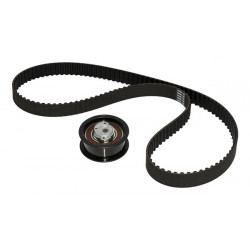 KIT DE CORREA DE DISTRIBUCION SKF VKMA 01013 A