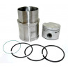 CONJUNTO DE MOTOR PERFECT CIRCLE PC245