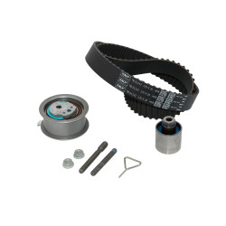KIT DE CORREA DE DISTRIBUCION SKF VKMA 01250