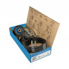 KIT DE CORREA DE DISTRIBUCION SKF VKMA 01263