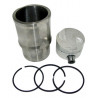 CONJUNTO DE MOTOR PERFECT CIRCLE PC270
