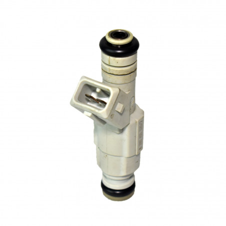 INYECTOR DE COMBUSTIBLE (NAFTA) WALKER 5001114