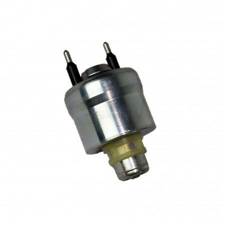 INYECTOR DE COMBUSTIBLE (NAFTA) WALKER 5002001