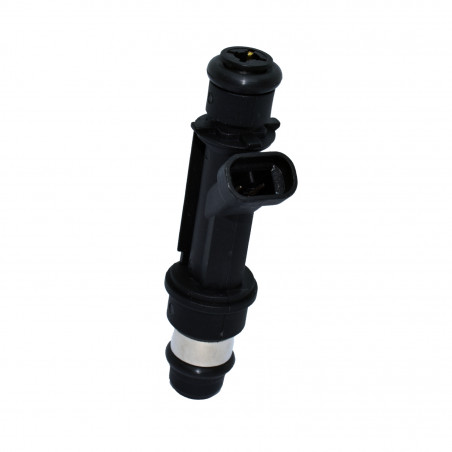 INYECTOR DE COMBUSTIBLE (NAFTA) HELLUX HEICD00112