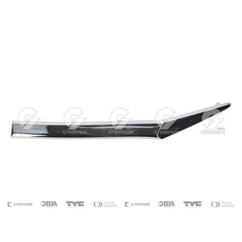 MOLDURAS VARIAS TONG YANG 1470/10I