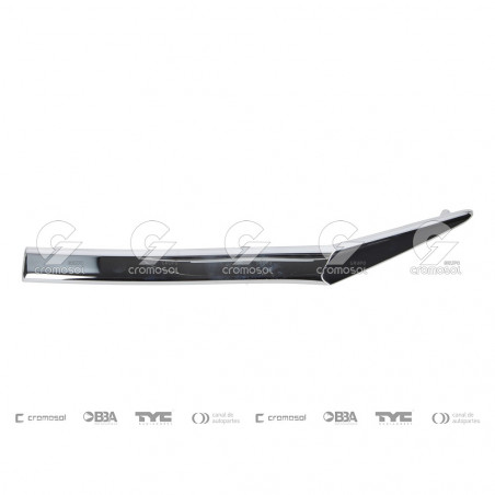 MOLDURAS VARIAS TONG YANG 1470/10I